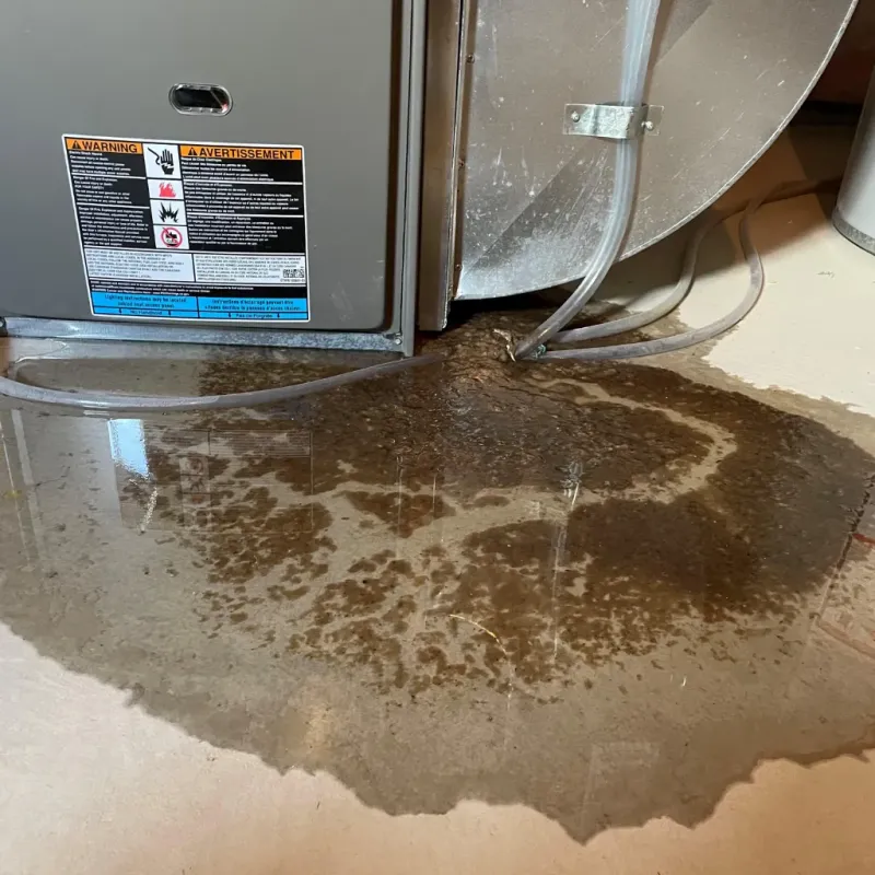 Appliance Leak Cleanup in Montgomery County, NC